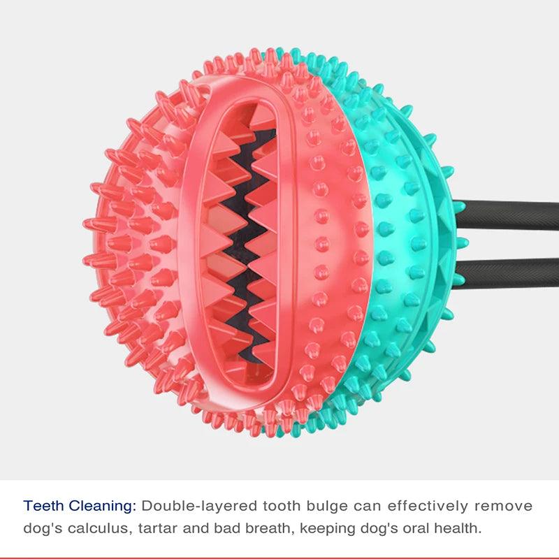 Interactive Suction Cup Chew Toy