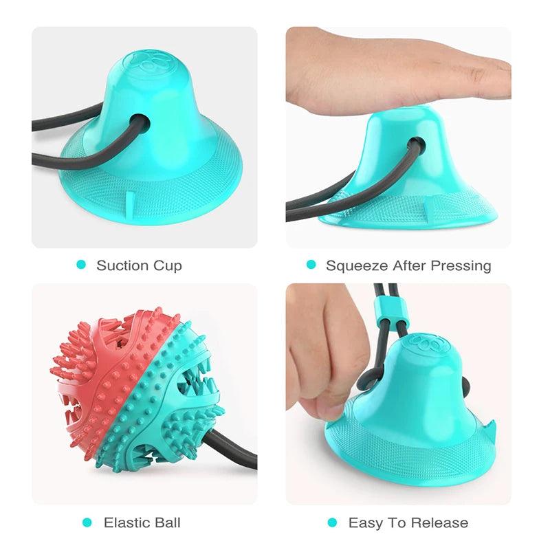 Interactive Suction Cup Chew Toy