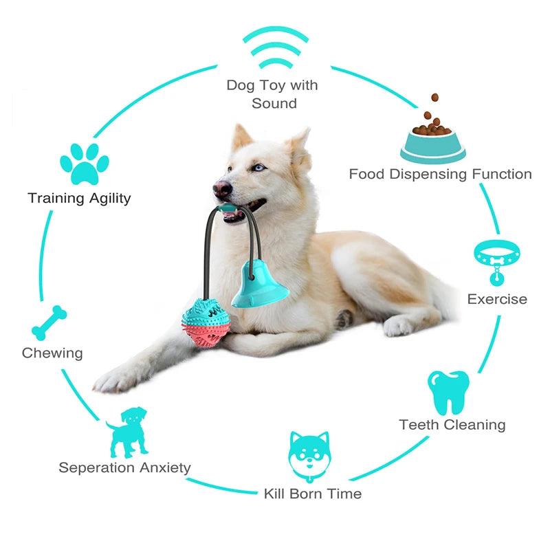 Interactive Suction Cup Chew Toy