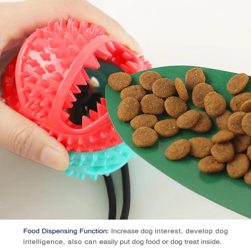 Interactive Suction Cup Chew Toy